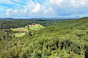 287 Scouts Overlook, Morganton, GA 30560 - Photo 97