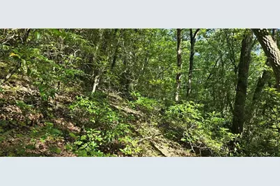 0 Firetower Road, Jasper, GA 30143 - Photo 11