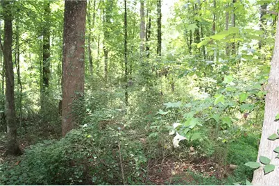 3575 Pleasant Grove Road, Cumming, GA 30028 - Photo 9