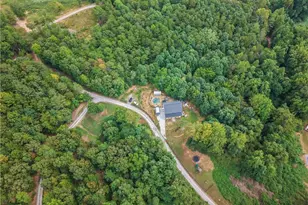 914 Lower Bethany Rd, Ball Ground, GA 30107 - Photo 41