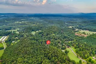 227 Cantrell Dr SW, Plainville, GA 30733 - Photo 33