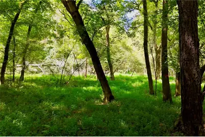3140 Highway 229, Mansfield, GA 30055 - Photo 19