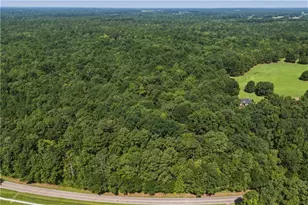 3140 Hwy 229, Mansfield, GA 30055 - Photo 1