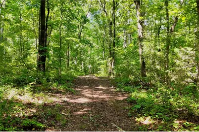 3140 Highway 229, Mansfield, GA 30055 - Photo 17
