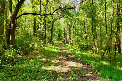 3140 Highway 229, Mansfield, GA 30055 - Photo 9