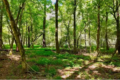 3180 Highway 229, Mansfield, GA 30055 - Photo 13