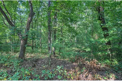 6354 Ga-20, White, GA 30184 - Photo 53