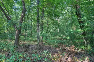 6354 GA-20, White, GA 30184 - Photo 53