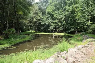 3294 Creekside Dr, Conyers, GA 30094 - Photo 57
