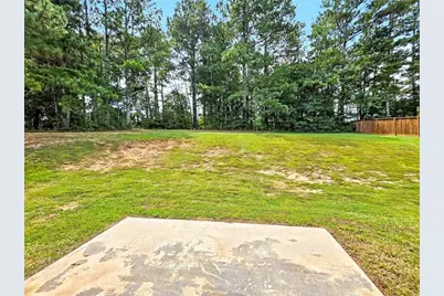 1154 Otis Drive, Bethlehem, GA 30620 - Photo 27