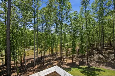 25 Timber Trace, Newnan, GA 30263 - Photo 81
