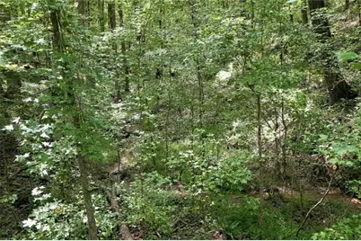 0 Shadow Wood Drive #Lot 2, Monroe, GA 30656 - Photo 7
