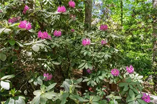 3560 Greystone Rd, Gainesville, GA 30506 - Photo 59