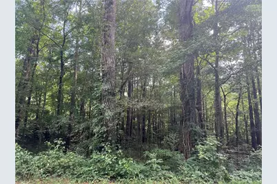 0 Hwy 411, Rydal, GA 30171 - Photo 3