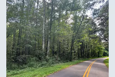 0 Hwy 411, Rydal, GA 30171 - Photo 5
