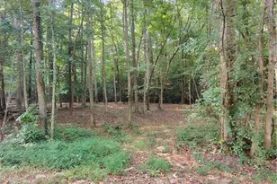 261 Brad St, Royston, GA 30662 - Photo 1