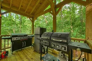 685 Chopped Oak Rd, Ellijay, GA 30540 - Photo 11
