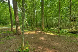 685 Chopped Oak Rd, Ellijay, GA 30540 - Photo 17