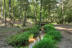 685 Chopped Oak Rd, Ellijay, GA 30540 - Photo 15