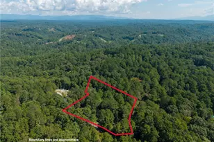 681 Catawba Cir, Ellijay, GA 30540 - Photo 67