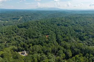 681 Catawba Cir, Ellijay, GA 30540 - Photo 65