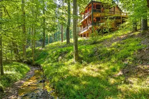 681 Catawba Cir, Ellijay, GA 30540 - Photo 59