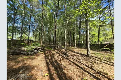 245 Crofton Ridge, Bethlehem, GA 30620 - Photo 3