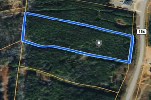 0 Steadman Rd, Tallapoosa, GA 30176 - Photo 1