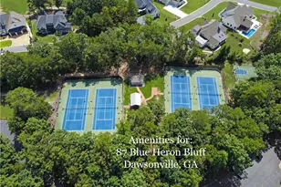 87 Blue Heron Bluff, Dawsonville, GA 30534 - Photo 67