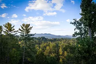 107 Fish Tale Cv, Ellijay, GA 30540 - Photo 25