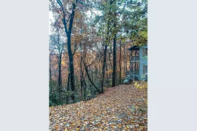 63 Mint Lane, Clayton, GA 30525 - Photo 51