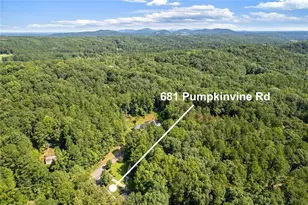 681 Pumpkinvine Rd, Acworth, GA 30101 - Photo 51