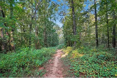 0 Locust Road, Locust Grove, GA 30248 - Photo 15
