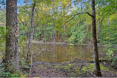 0 Locust Road, Locust Grove, GA 30248 - Photo 5