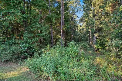 0 Locust Road, Locust Grove, GA 30248 - Photo 19