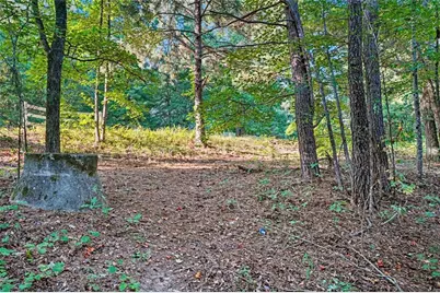 0 Locust Road, Locust Grove, GA 30248 - Photo 3