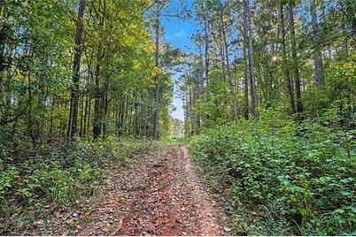 0 Locust Road, Locust Grove, GA 30248 - Photo 17