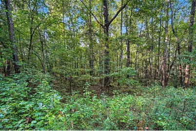 0 Locust Road, Locust Grove, GA 30248 - Photo 13