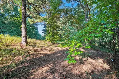 0 Locust Road, Locust Grove, GA 30248 - Photo 7
