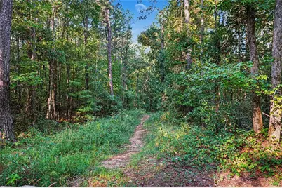 0 Locust Road, Locust Grove, GA 30248 - Photo 11