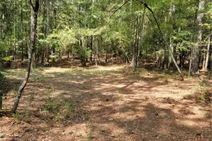 3941 Lake Carlton Road S, Loganville, GA 30052 - Photo 5