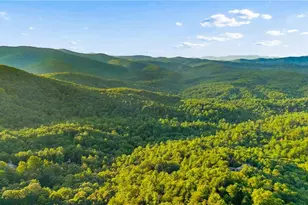 252 Wild Turkey Bluff, Jasper, GA 30143 - Photo 61
