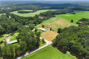 1300 Credille Pond Rd, Greensboro, GA 30642 - Photo 43