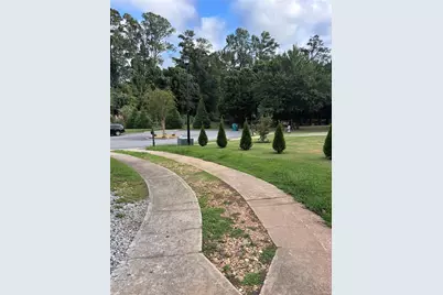16 Plum Blossom Lane, Hampton, GA 30228 - Photo 53