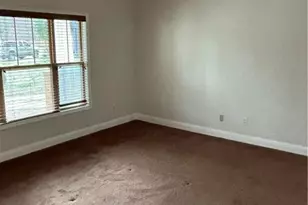 16 Plum Blossom Ln, Hampton, GA 30228 - Photo 31