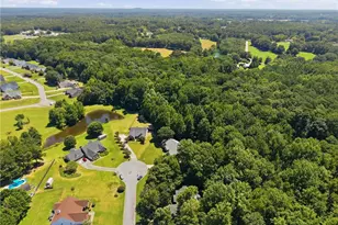 1611 Lake View Ct, Loganville, GA 30052 - Photo 93