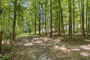 1611 Lake View Ct, Loganville, GA 30052 - Photo 79