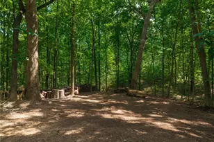 575 Bessie Ln, Jasper, GA 30143 - Photo 49