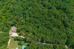 575 Bessie Ln, Jasper, GA 30143 - Photo 61