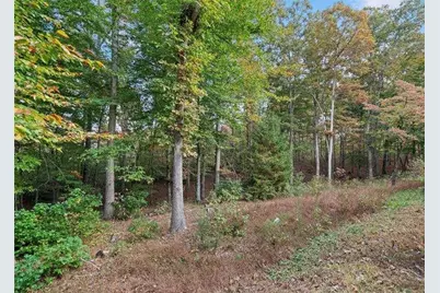 000 Ammons Drive, Waleska, GA 30183 - Photo 3